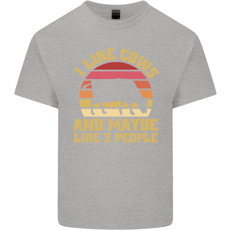 I Like Cows & 3 People Funny Sarcastic Slogan Mens Cotton T-Shirt Tee Top Sports Grey