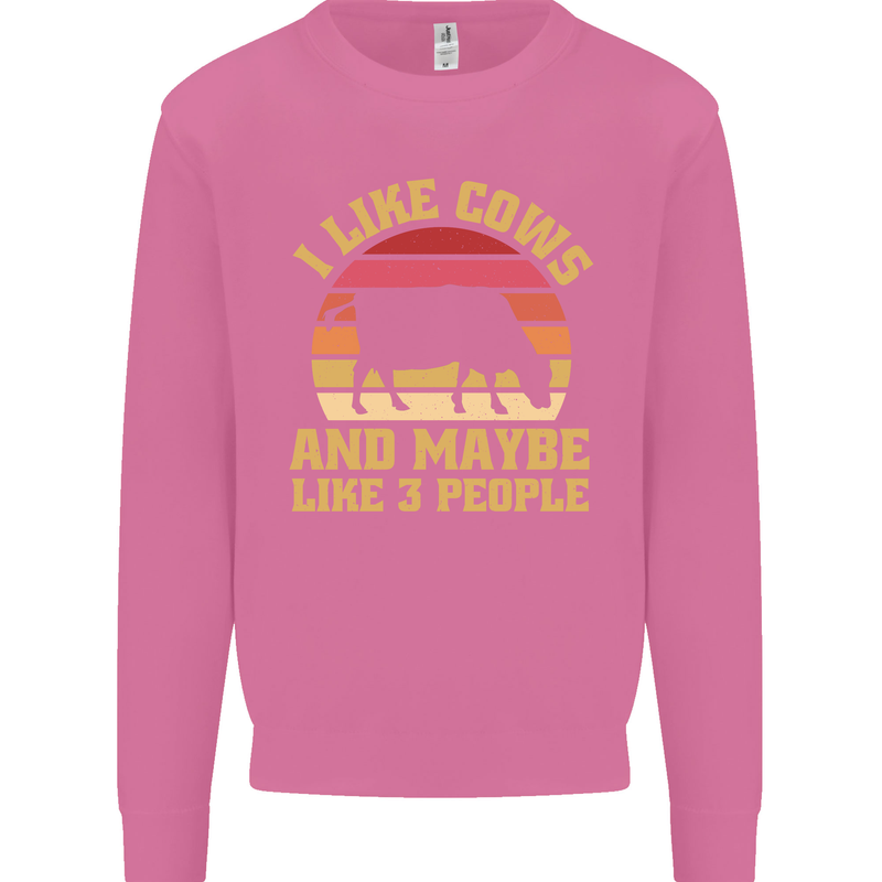 I Like Cows & 3 People Funny Sarcastic Slogan Mens Sweatshirt Jumper Azalea