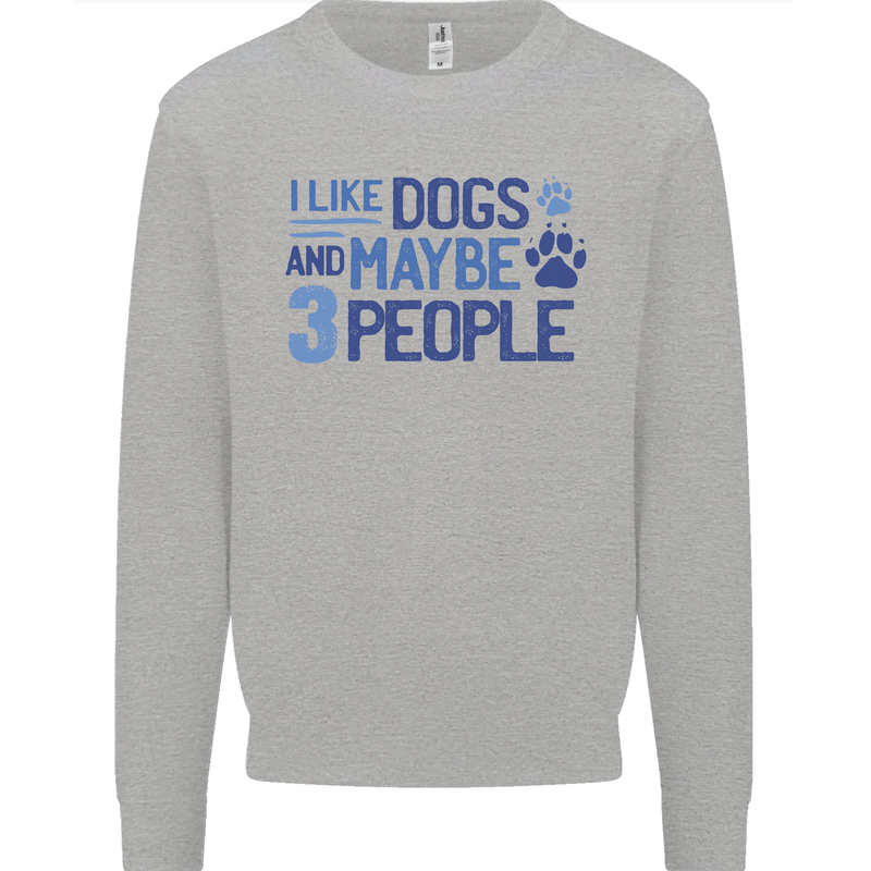 I Like Dogs and Maybe Three People Kids Sweatshirt Jumper Sports Grey