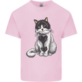 I Love Cats Cute Kitten Mens Cotton T-Shirt Tee Top Light Pink