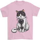 I Love Cats Cute Kitten Mens T-Shirt Cotton Gildan Light Pink