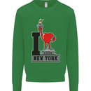 I Love (Heart) New York Kids Sweatshirt Jumper Irish Green