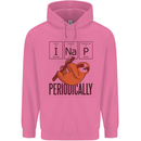 I Nap Funny Periodic Table Sloth Geek Sleep Childrens Kids Hoodie Azalea