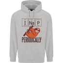 I Nap Funny Periodic Table Sloth Geek Sleep Childrens Kids Hoodie Sports Grey