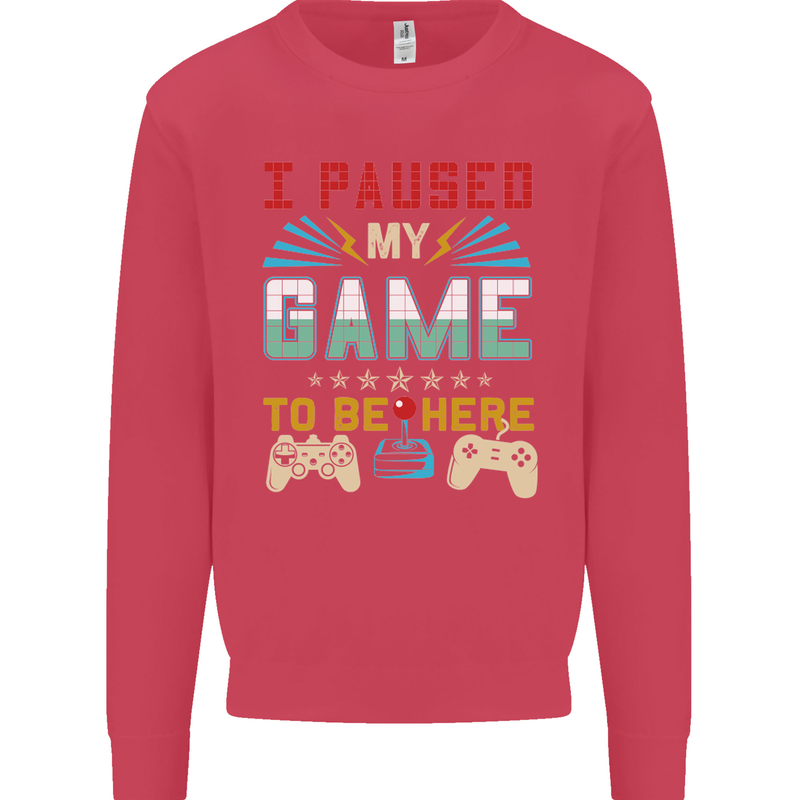 I Paused My Game to Be Here Gaming Gamer Kids Sweatshirt Jumper Heliconia
