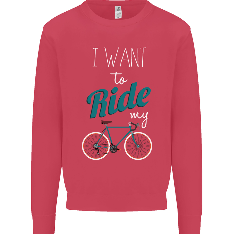 I Want to Ride My Bike Cycling Cyclist Kids Sweatshirt Jumper Heliconia