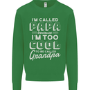I'm Called Papa Grandparents Day Kids Sweatshirt Jumper Irish Green