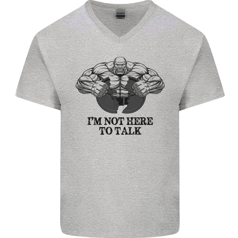 I'm Not Here to Talk Gym Training Top Mens V-Neck Cotton T-Shirt Sports Grey