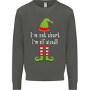 I'm Not Short I'm Elf Sized Funny Christmas Kids Sweatshirt Jumper Storm Grey