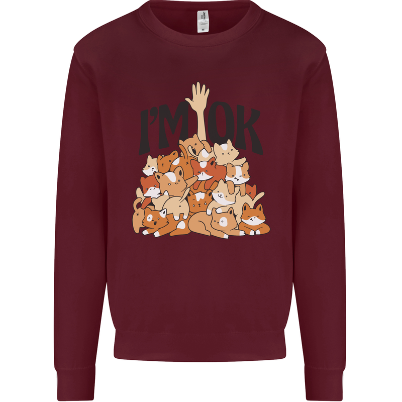 I'm OK Funny Cat Mum Dad Crazy Lady Kitten Kids Sweatshirt Jumper Maroon