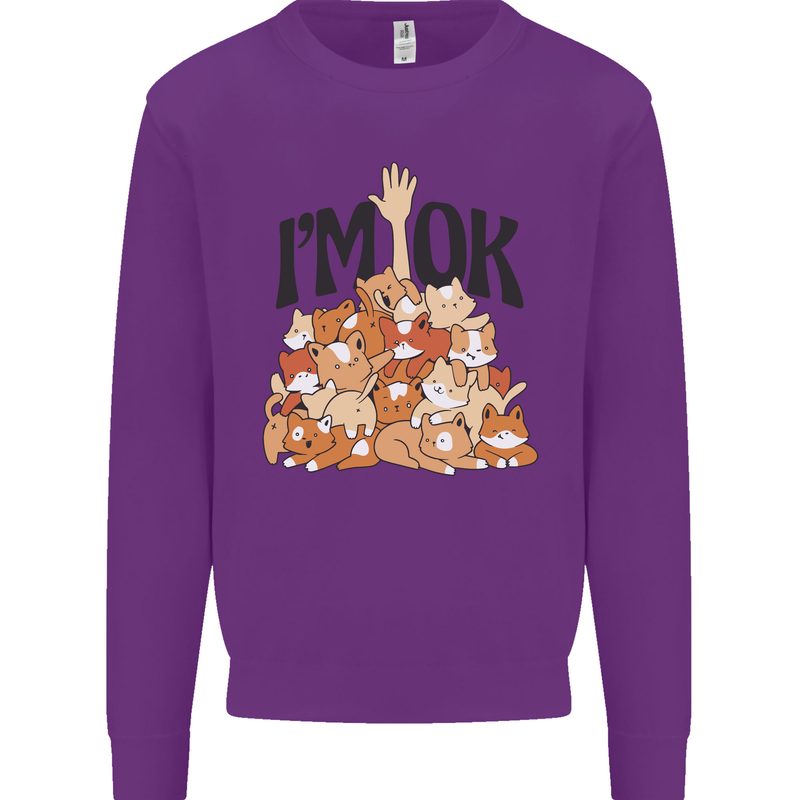 I'm OK Funny Cat Mum Dad Crazy Lady Kitten Kids Sweatshirt Jumper Purple