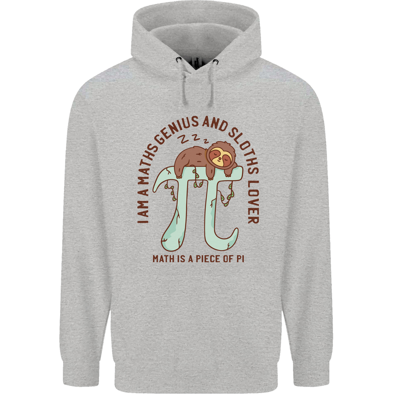 I'm a Maths Genius and Sloth Lover Funny Childrens Kids Hoodie Sports Grey
