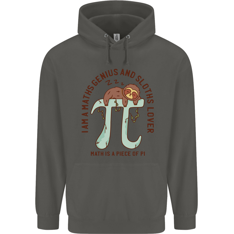 I'm a Maths Genius and Sloth Lover Funny Childrens Kids Hoodie Storm Grey