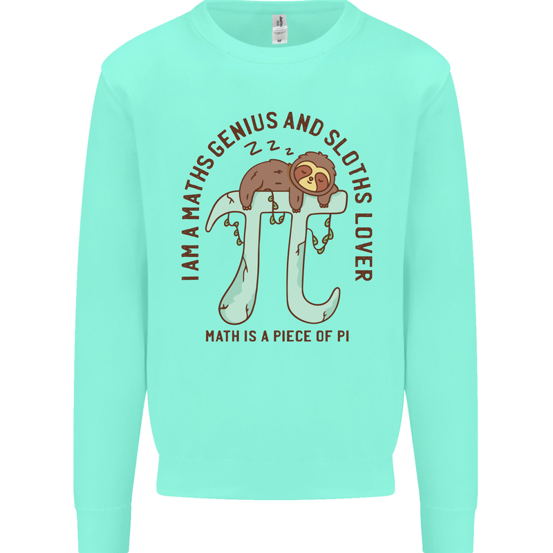I'm a Maths Genius and Sloth Lover Funny Kids Sweatshirt Jumper Peppermint