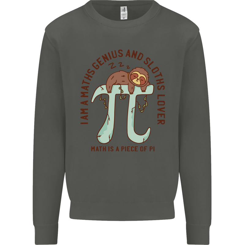 I'm a Maths Genius and Sloth Lover Funny Kids Sweatshirt Jumper Storm Grey