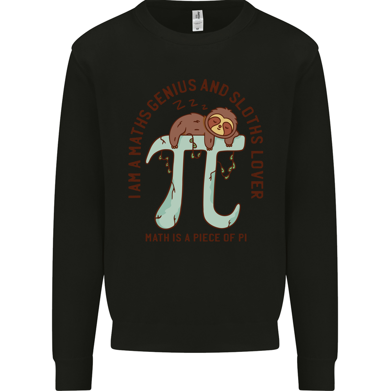 I'm a Maths Genius and Sloth Lover Funny Mens Sweatshirt Jumper Black