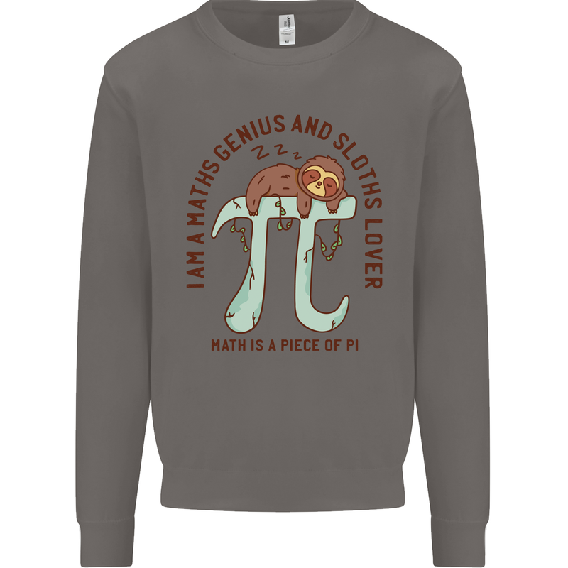 I'm a Maths Genius and Sloth Lover Funny Mens Sweatshirt Jumper Charcoal