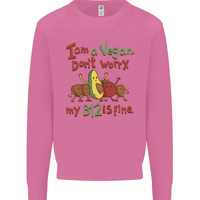 I'm a Vegan My b12 Is Fine Funny Mens Sweatshirt Jumper Azalea