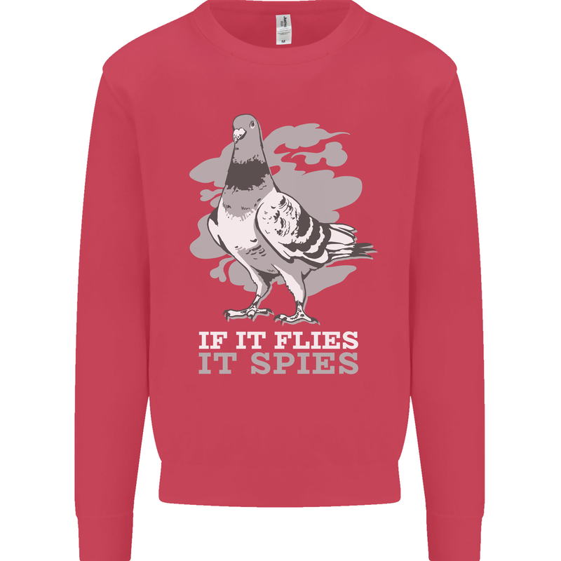 If it Flies it Spies Conspiracy Pigeon Kids Sweatshirt Jumper Heliconia