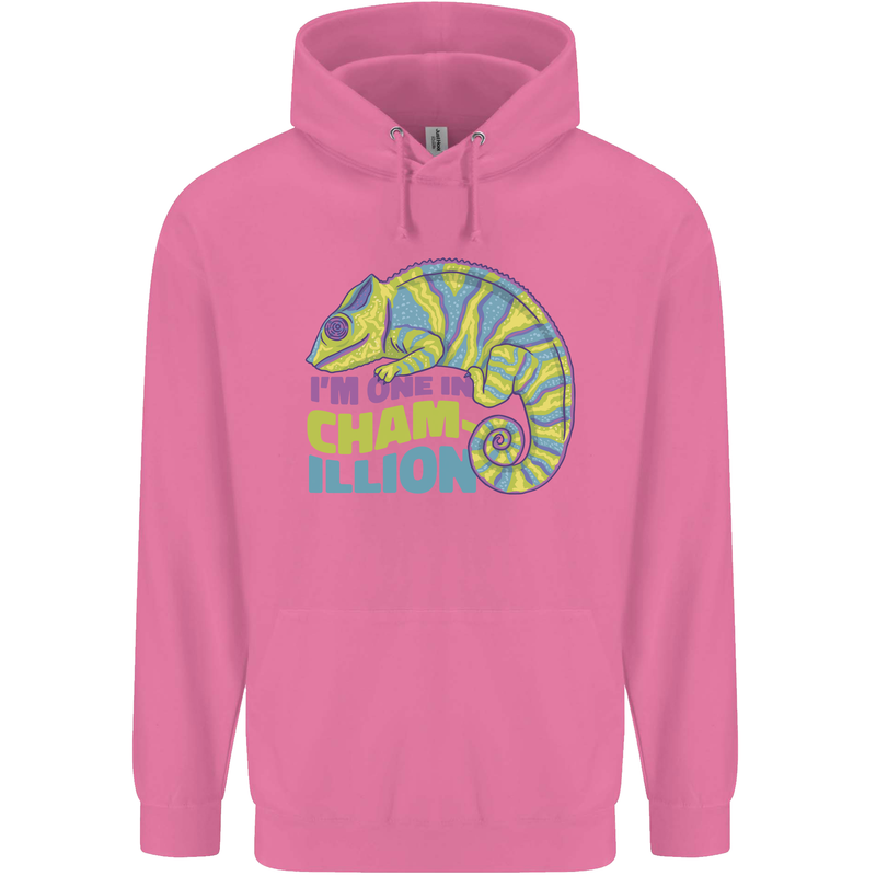Im One in a Chamillion Funny Chameleon Childrens Kids Hoodie Azalea