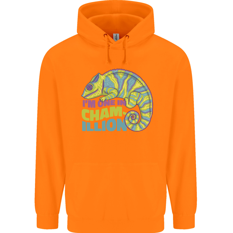 Im One in a Chamillion Funny Chameleon Childrens Kids Hoodie Orange