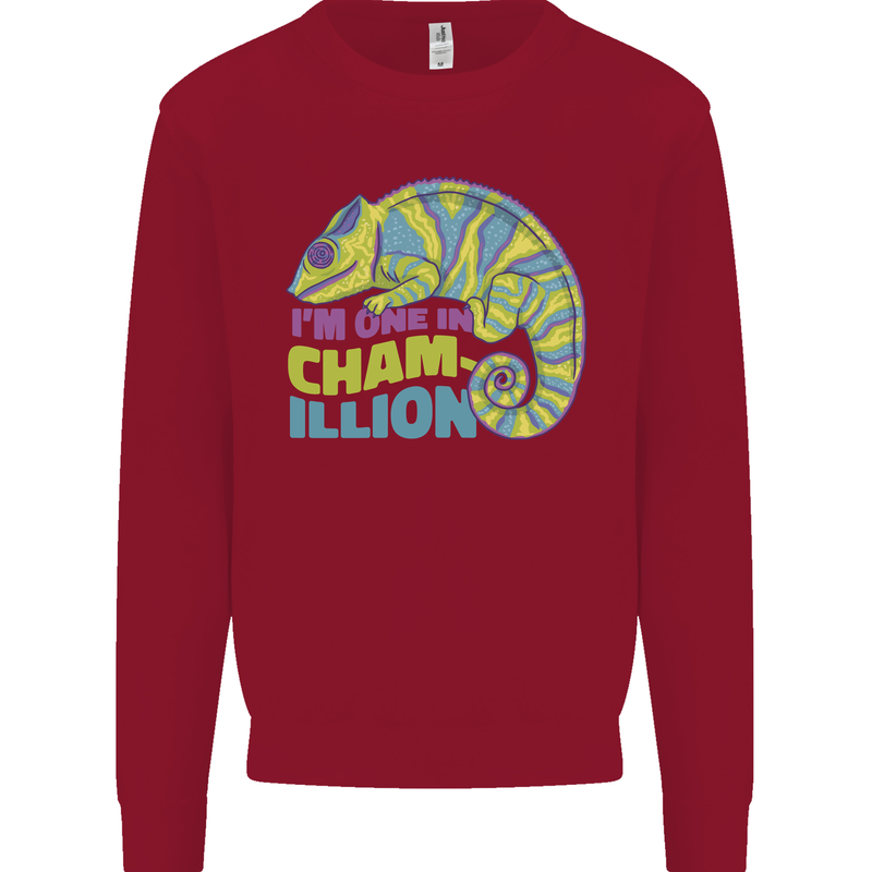 Im One in a Chamillion Funny Chameleon Kids Sweatshirt Jumper Red