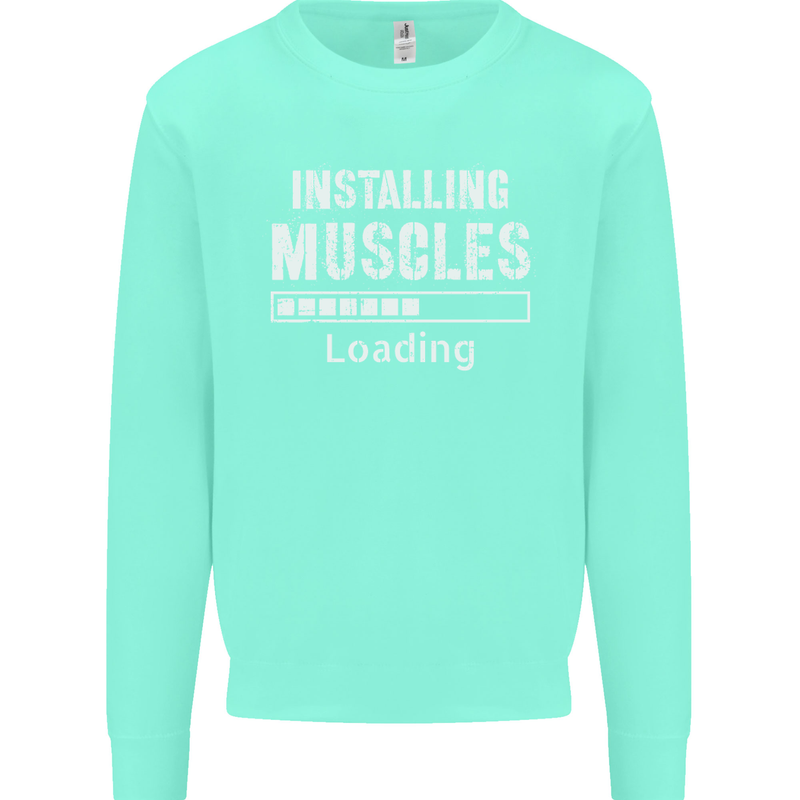 Installing Muscles Loading Gym Training Top Mens Sweatshirt Jumper Peppermint