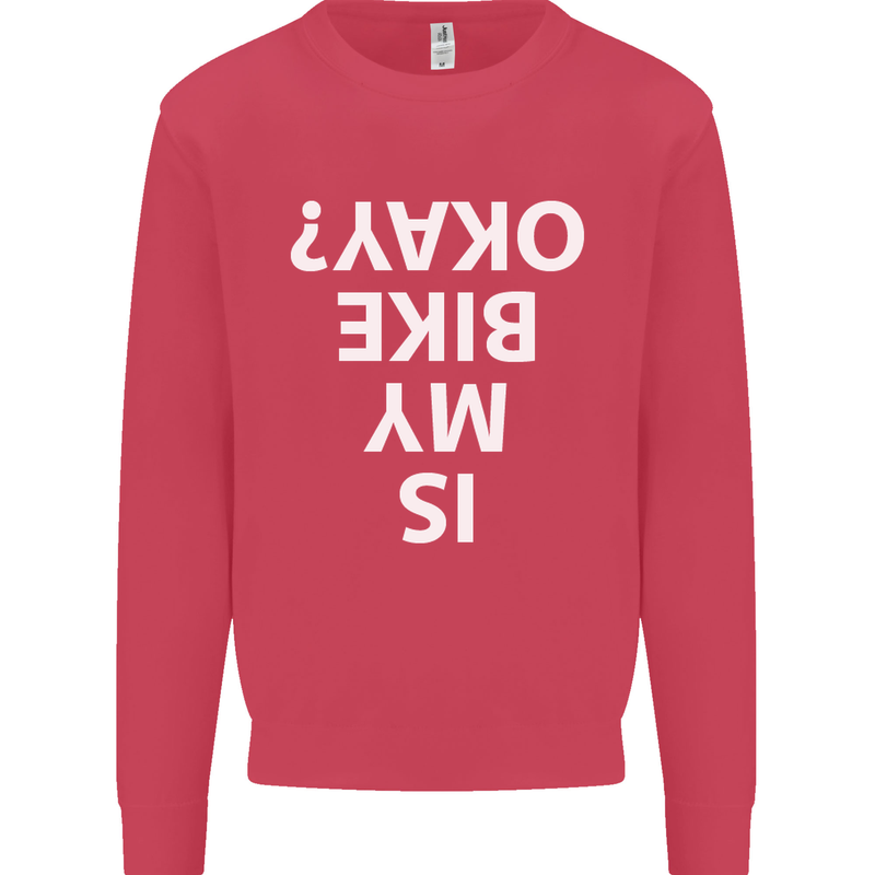 Is My Bike Okay Cycling Biker Funny Kids Sweatshirt Jumper Heliconia