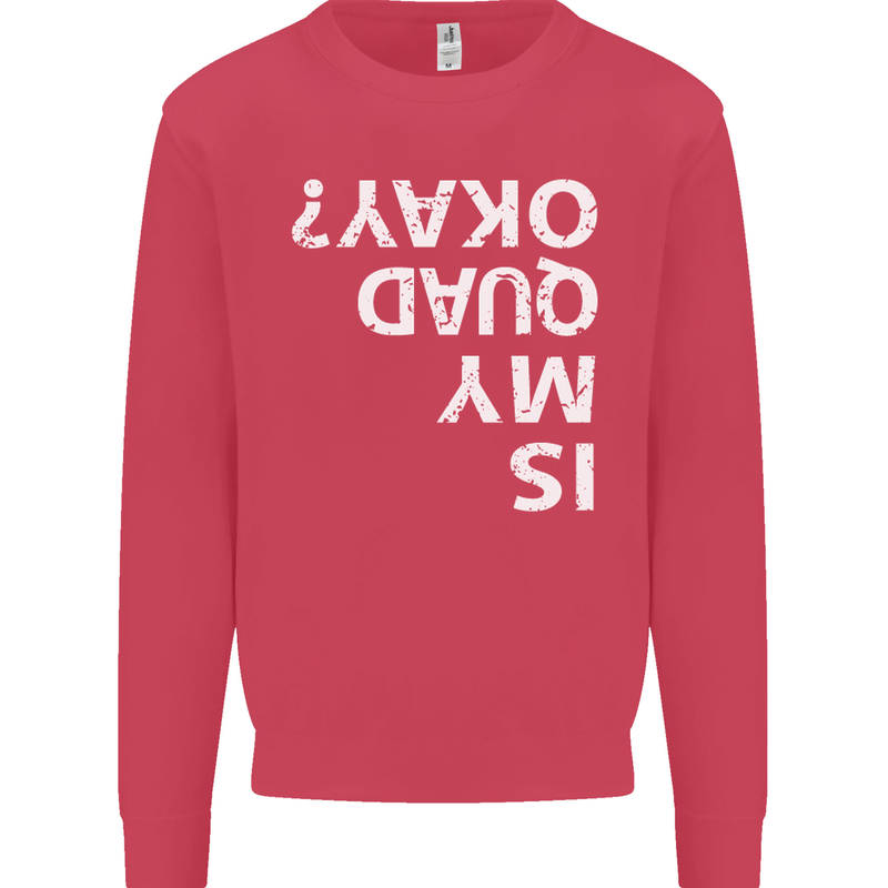 Is My Quad Okay? Bike Biking Funny Kids Sweatshirt Jumper Heliconia