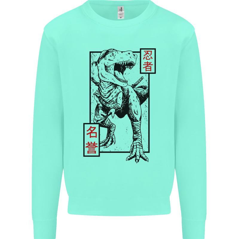 Japanese T-Rex Ninja MMA Mixed Martial Arts Kids Sweatshirt Jumper Peppermint