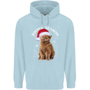 Joyful Season Christmas Funny Cat Xmas Childrens Kids Hoodie Light Blue