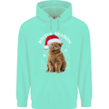Joyful Season Christmas Funny Cat Xmas Childrens Kids Hoodie Peppermint