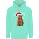 Joyful Season Christmas Funny Cat Xmas Childrens Kids Hoodie Peppermint