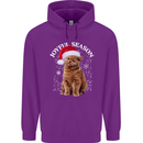 Joyful Season Christmas Funny Cat Xmas Childrens Kids Hoodie Purple