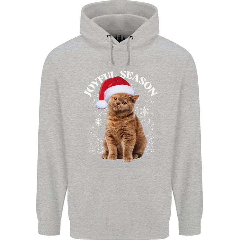 Joyful Season Christmas Funny Cat Xmas Childrens Kids Hoodie Sports Grey