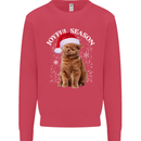 Joyful Season Christmas Funny Cat Xmas Kids Sweatshirt Jumper Heliconia