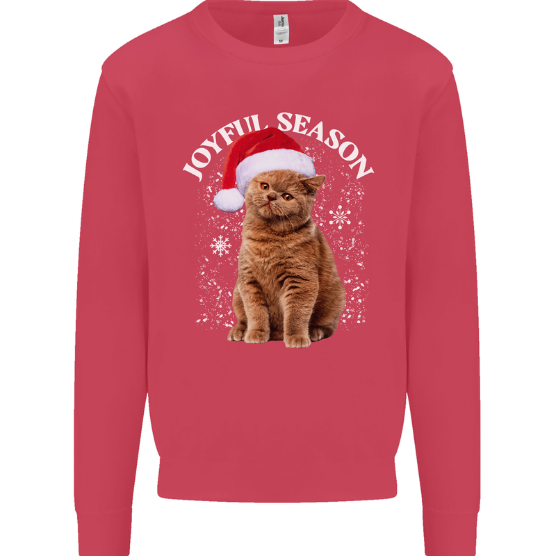 Joyful Season Christmas Funny Cat Xmas Kids Sweatshirt Jumper Heliconia