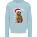 Joyful Season Christmas Funny Cat Xmas Kids Sweatshirt Jumper Light Blue