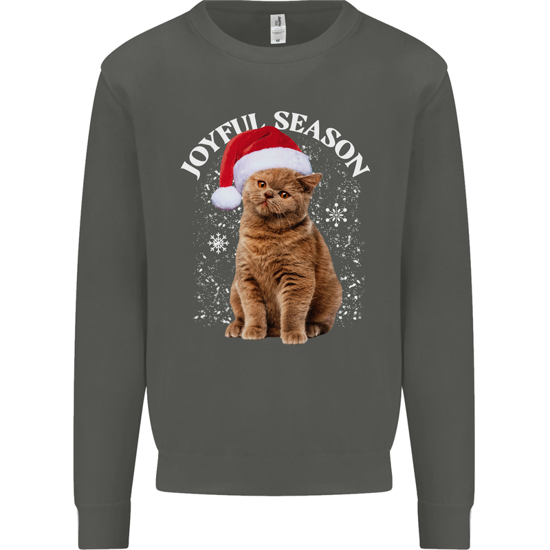 Joyful Season Christmas Funny Cat Xmas Kids Sweatshirt Jumper Storm Grey