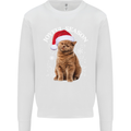 Joyful Season Christmas Funny Cat Xmas Kids Sweatshirt Jumper White