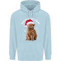Joyful Season Christmas Funny Cat Xmas Mens 80% Cotton Hoodie Light Blue