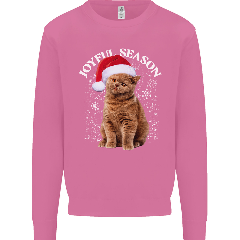 Joyful Season Christmas Funny Cat Xmas Mens Sweatshirt Jumper Azalea