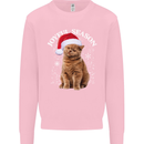 Joyful Season Christmas Funny Cat Xmas Mens Sweatshirt Jumper Light Pink