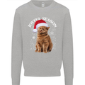 Joyful Season Christmas Funny Cat Xmas Mens Sweatshirt Jumper Sports Grey