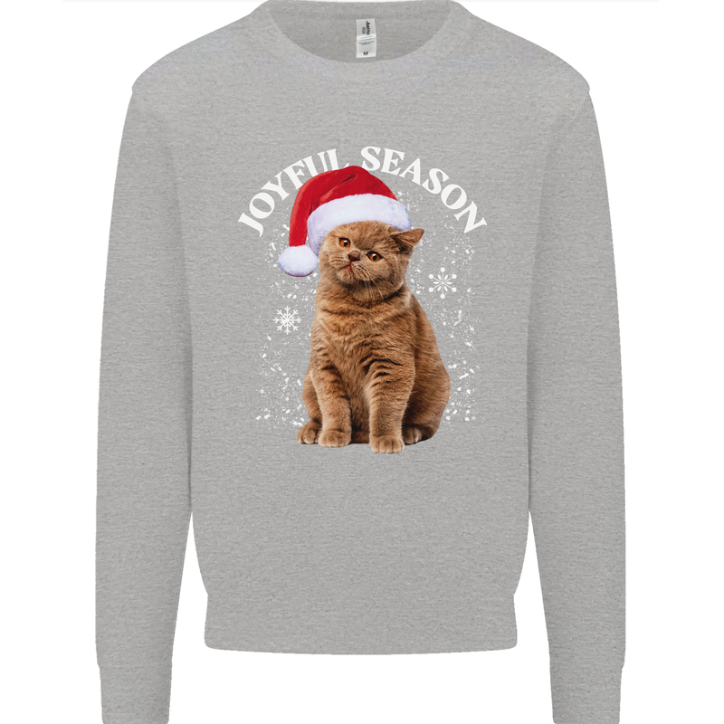 Joyful Season Christmas Funny Cat Xmas Mens Sweatshirt Jumper Sports Grey