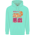 Kawaii Red Panda Japanese Cute Childrens Kids Hoodie Peppermint