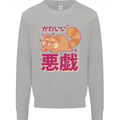 Kawaii Red Panda Japanese Cute Kids Sweatshirt Jumper Sports Grey