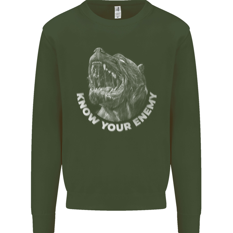 Know Your Enemy Staffy Staffordshire Terrier Kids Sweatshirt Jumper Forest Green