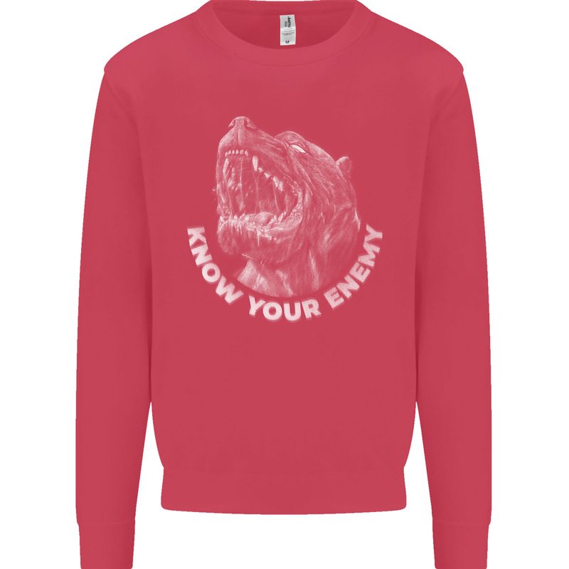 Know Your Enemy Staffy Staffordshire Terrier Kids Sweatshirt Jumper Heliconia