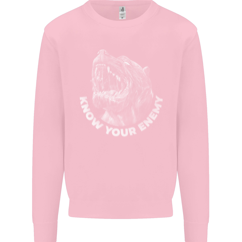 Know Your Enemy Staffy Staffordshire Terrier Kids Sweatshirt Jumper Light Pink
